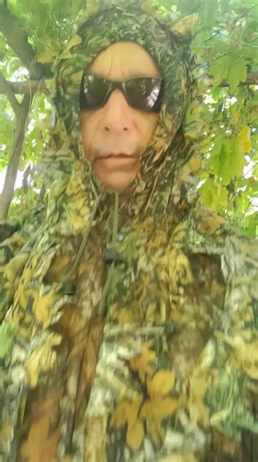 Be careful of the man eating cats 🐈😺 in the bush 😁😎😃 | Neil Brock