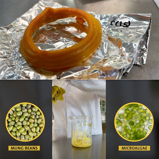 Researchers 3D-Print a Plant-Based Calamari with Microalgae and Mung Bean Proteins