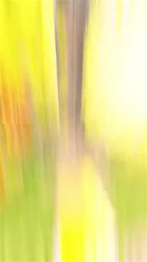 Can You Pass This AP Brainrot Exam?