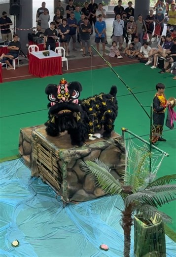 22.02.2025 First Traditional South Lion promotion Singapore Wong Loo Choh See Chee Chong DRAGON LION DANCE SINGAPORE SPORTS FEDERATION @新加坡黄老祖师慈忠会 #traditionalliondance #liondance #新加坡黄老祖师慈忠会