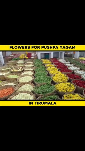 28K views · 36K reactions | Flowers for Pushpa Yagam in Tirumala ❤️ . . . . #nrt #nonresidenttirupatian #tirupati #nrtupdates #tirupatiupdates #tirumala #tirupatireels #tirupativideos #nrtreels #tirumalareels #tirumalavideos #pushpayagam #pushpayagam2025 | Non Resident Tirupatian - NRT | Facebook