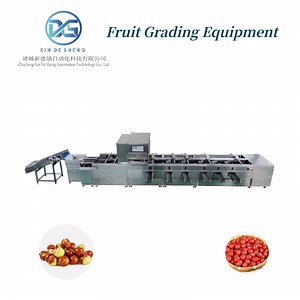 [Hot Item] Intelligent Jujube Ai Visual Inspection, Color and Sugar Content Sorting Machine