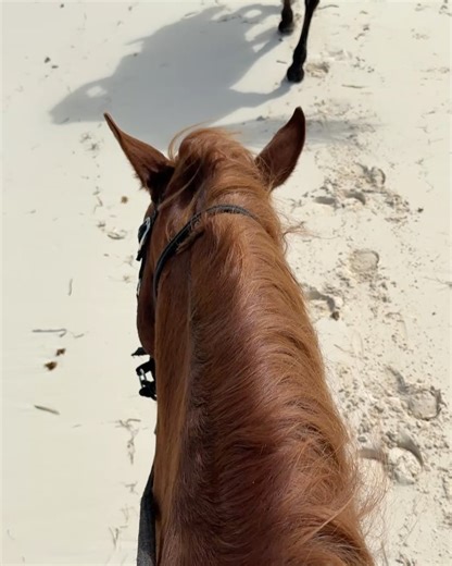 Samara Redway on Instagram: "Some more honeymoon pics feat. the popcorn thief!!!!"