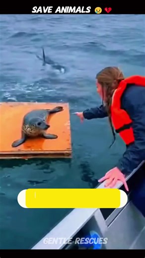 A Moment That Saved a Life #trend animal rescue video | animal rescue story |