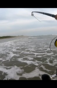 127K views · 2.4K reactions | ROBALO de 9 KG. | Isrra fishing | Facebook