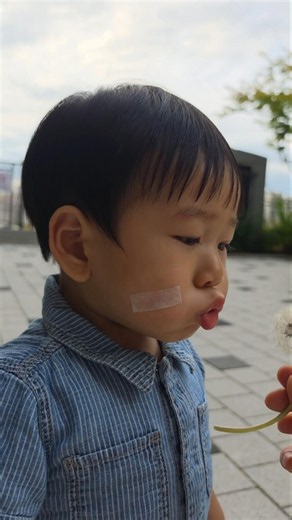 민들레홑씨조차 버거운아이 #baby #아기 #하트 #cute