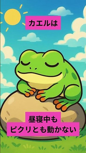 【生き物のおもしろ睡眠雑学】総集編⑤｜カメレオン・トカゲ・カエル・カメ・ワニ・ヤモリ・トカゲモドキ・イグアナの眠りと冬眠の秘密🐢💤