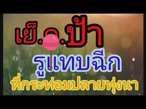 When an aunt found out I was living alone in a hut, [the story, short story, audio novel, complet...