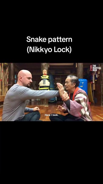 Mastering the Snake Move in Goju Ryu with Hokama Sensei