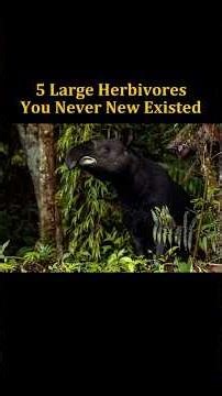Five large Herbivores you never knew existed #animals #herbivore #mammals