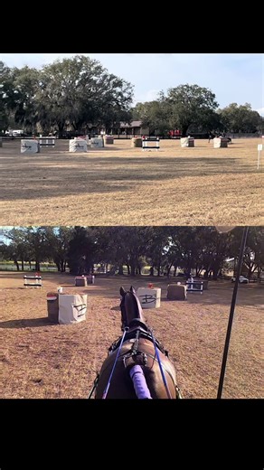 #fei #feidriving #combineddriving #horses | horses