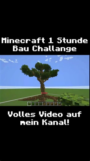 Minecraft 1 Stunde bau Challange! #minecraft #gaming #minecraftbuilding #games