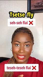 How did you use to pronounce TSE TSE FLY? Give me the gist in the comments! 😂 | Say It Right with Bolaji