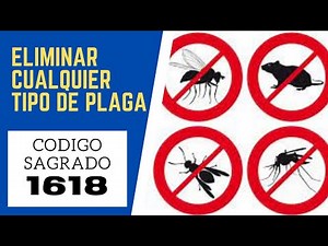 🙏 Sacred Code 1618 to eliminate all types of PESTS🙏