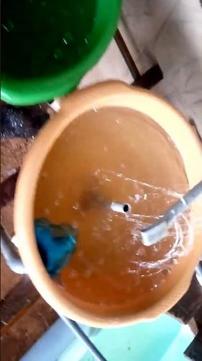 Catfish FINGERLINGS Production! A DIY FISH HATCHERY DESIGN.