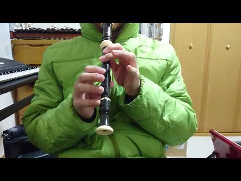 情熱大陸【リコーダー/器楽合奏】