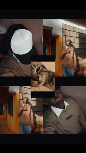 🏀mr_codey🏀 (@mr_codey)’s videos with 1234 Sped Up - ᴀʀᴄʜɪᴠᴇᴅ