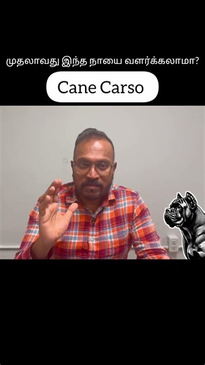 Cane Corso — Breed Profile in Tamil | History, Temperament, Price, Care தமிழில்