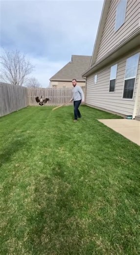 CCTV Footage 😱 Goose Attacks Child in Backyard — Parent Fights It Off with Broom! #CCTV #GooseAttack #CaughtOnCamera #BackyardFootage #AnimalAttack #SecurityFootage #WildlifeEncounter #ScaryMoment #RealFootage #ViralVideo #HomeSecurity #CloseCall #ParentProtectsChild #BackyardDrama | CCTV zone