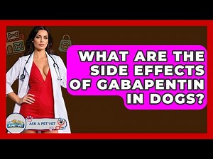 What Are The Side Effects Of Gabapentin In Dogs? - Ask A Pet Vet