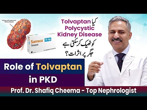 Role of Tolvaptan or SAMKA in PKD Or polycystic kidney Disease #polycystic #ckd