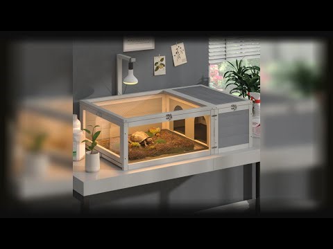 Freshwater pet turtles and their life in the terrarium