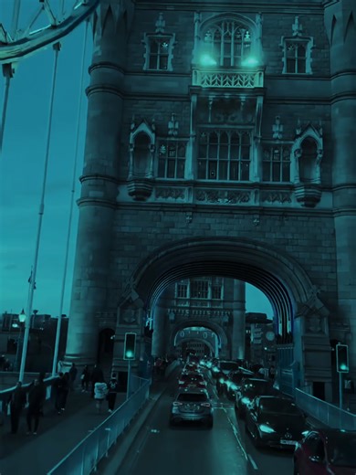 Fight Song Rachel Platten #fightsong #rachelplatten #song #lyrics_songs #fyp