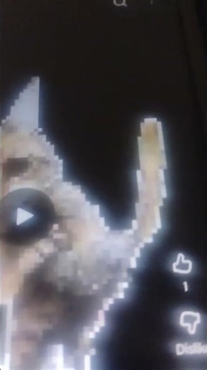 Next bot cat jump scares