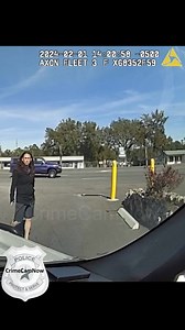 Woman Steals Police Car, 125 MPH Chase Ends in Disaster | Crimecamnow