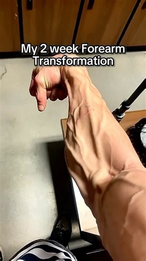 Official_Gripsters on Instagram: "LINK IN BIO❗️#veins #transformation #gym #forearms #forarmsworkout #gymprogress #foryou #fyp #strength #gripstrength"