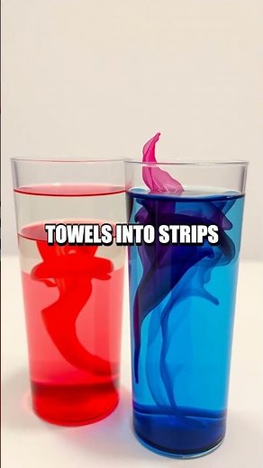 The Incredible Rainbow Walking Water Experiment