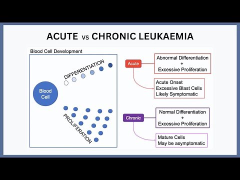 Acute vs Chronic Leukaemia Explained