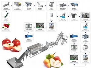 [Hot Item] Hpp Apple Pear Juice Production Line