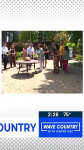 Gender reveal party today. Now that my tortoise is 5 years old, we can confirm the gender. #sulcatatortoise#harriette #tortoise#wavenews | Brian Goode WAVE News