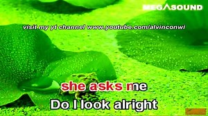 Reggae Medley karaoke | Sing Like A Pro