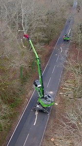 4.1M views · 50K reactions | Ben Nicholson Tree Servies taking down diseased Ash trees close to a public highway with their Sennebogen 728 tree handler. You can also see their smaller 718 in the background. The machines were both supplied by the Molson Equipment dealership. We'll have the full story on it in the next issue of the magazine. | Awesome Earthmovers | Facebook