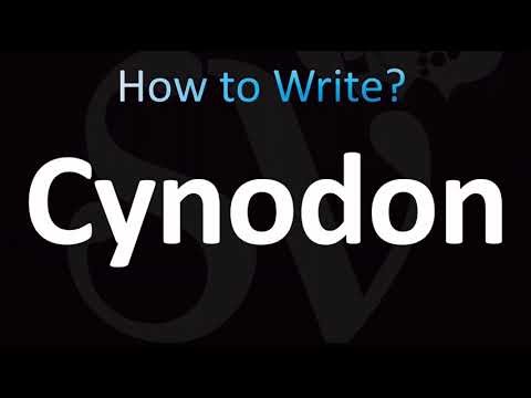 How to Pronounce Cynodon (CORRECTLY!)