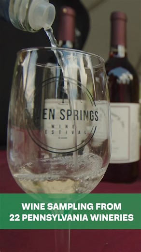 19 reactions · 116 shares | Seven Springs on Reels | Facebook