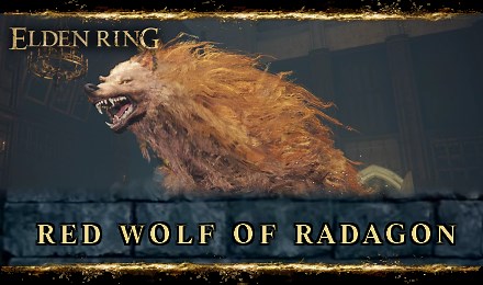 How to Beat Red Wolf of Radagon: Boss Fight Guide | Elden Ring｜Game8