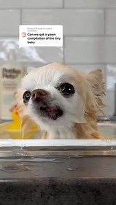 31K views · 4.9K reactions | Did I make you yawn?  I am a master of...