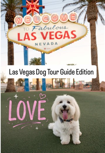 Travel is our love language 🌎❤️ SAVE & SHARE if you are planning to visit Las Vegas with your dog in the future. 💙LAKE LAS VEGAS • 30 minutes drive from the Las Vegas Strip • Man-made 320-acre lake • Resort-style village vibe with mountain desert views • Paved walking paths • Dog-friendly patios in The Village • Perfect for relaxed adventure days •Sunset reflections are unreal 🤎OAK CREEK TRAIL • About 30 mins from the Las Vegas Strip • Part of Red Rock Canyon • ~2.2 mile loop • Wide open land