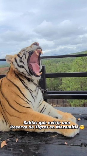 Camino Real del Tigre en Mazamitla