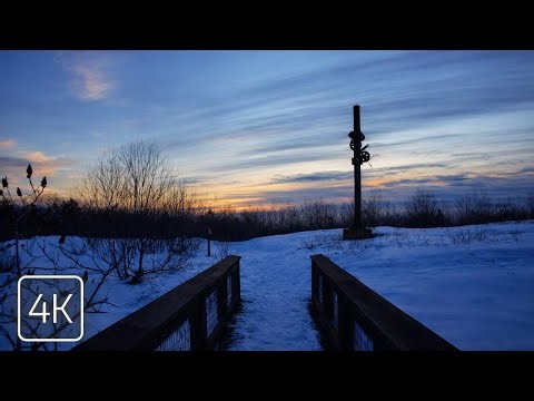 Real-Time 4K Forest Walk | Mount Agamenticus to Second Hill