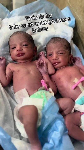 Adopt Newborn Twins: A Chance for a Loving Home