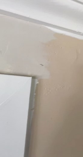 ✍🏻 Colonnade Gray from Sherwin Williams