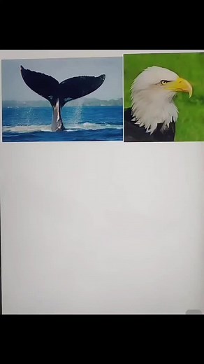 Logo chim đại bàng kết hợp cá voi #logo #logodesigner #thietkelogo | Logo Maker