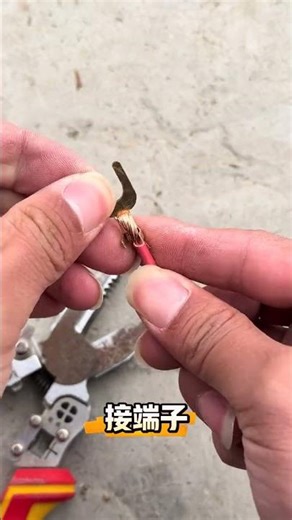 Electrical wiring terminals