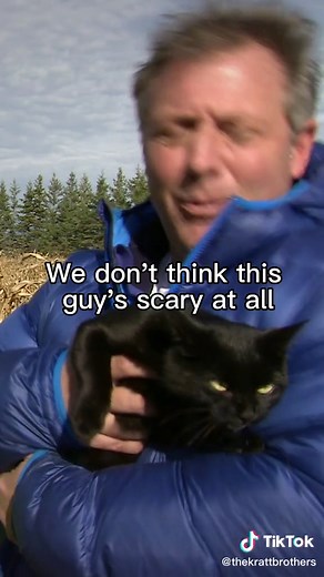 Creepy Cool Creatures: Celebrating Black Cats on Halloween