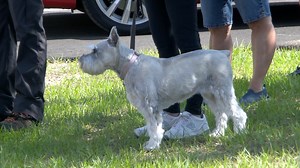 New University of Florida veterinary hospital opens at World Equestrian Center in Ocala