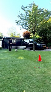 Mastering Directional Commands with Danger: Cone Training Basics 🐕🚦 In our latest training session, watch Danger as he learns the essentials of directional training using a single cone. This foundational exercise is crucial for teaching our dogs how to respond to directional commands, allowing handlers to send them left, right, forward, or backward on cue. As Danger progresses, we'll introduce more cones to complexify the training. Curious about how to teach your dog these directional skills? 